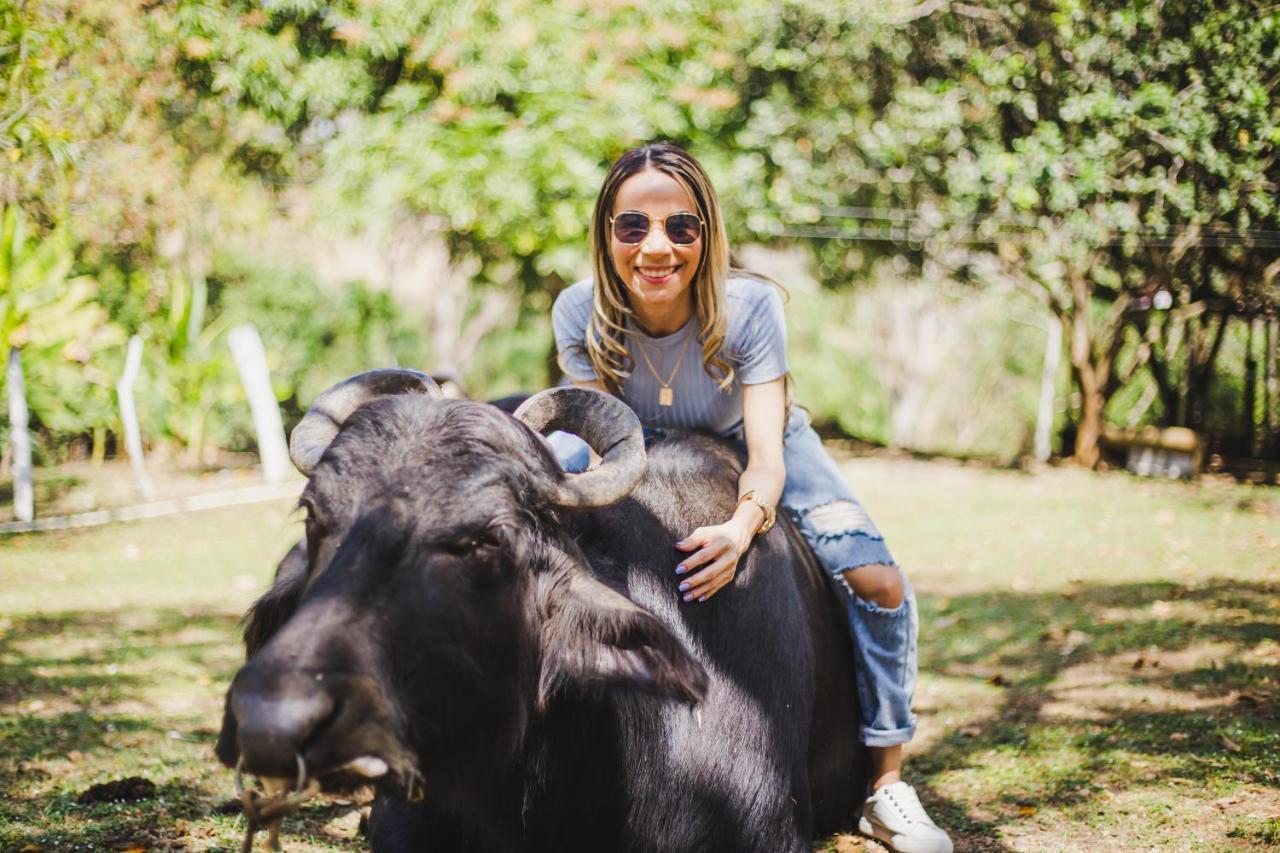 Eco Hotel Villa Martha Turbaco ภายนอก รูปภาพ